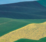 FRANCO FONTANA, IL WORKSHOP. TRE GIORNI CON IL MAESTRO DELLA FOTOGRAFIA.